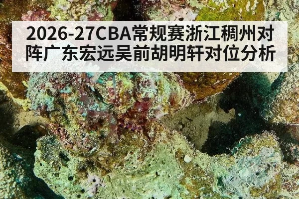 2026-27CBA常规赛浙江稠州对阵广东宏远吴前胡明轩对位分析